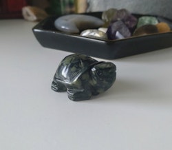 Sköldpadda av Kambaba