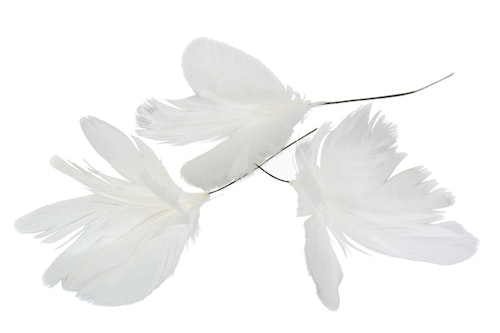 REA! Påskfjädrar Blomma Vippa x 12 - Vit