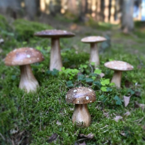 REA! Dekoration Svamp 'Muscaria'