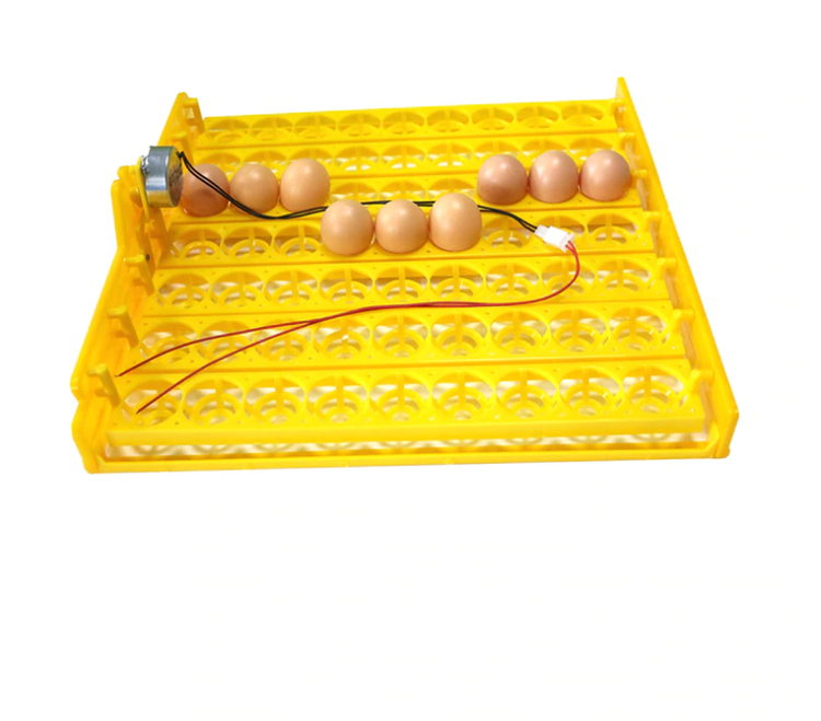 Äggkläckningsmaskin inkubator - 63 ägg