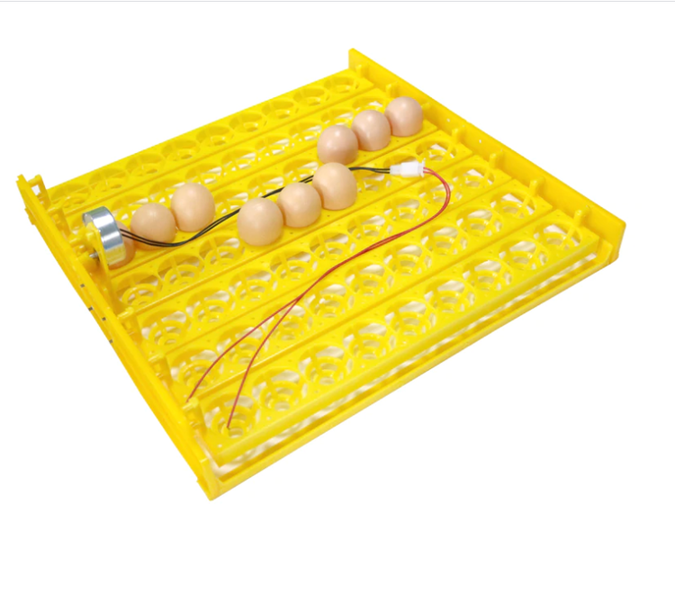 Äggkläckningsmaskin inkubator - 63 ägg