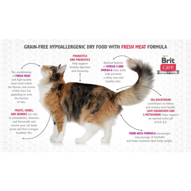 Brit Care Cat Functional Paste Multivitamin creme. Nyttigt kattgodis på tub 100 gr