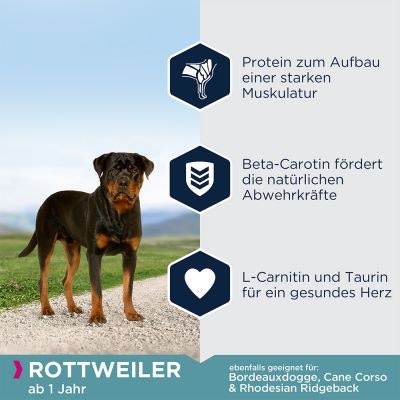 Eukanuba Dog Adult Breed Specific Rottweiler 12 kg