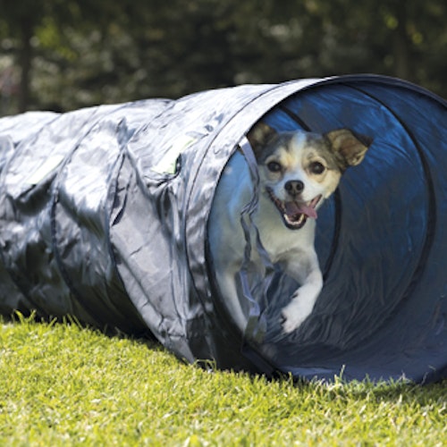 Agility Tunnel 40 x 200 cm