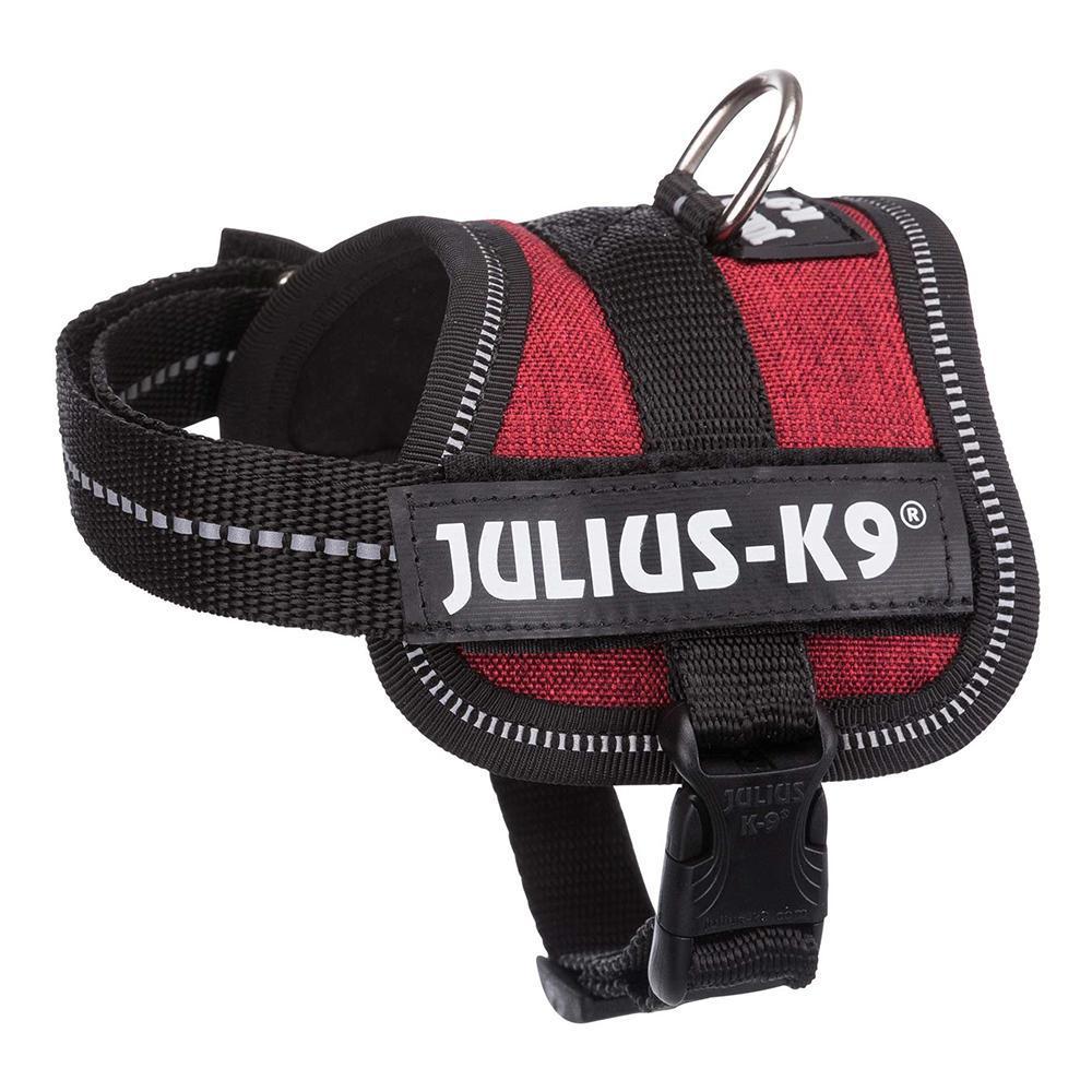 Julius-K9® Powersele, Baby 2/XS-S: 33-45 cm/18 mm