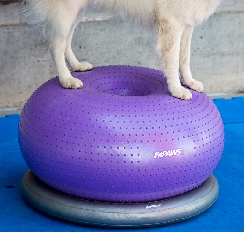 FitPAWS TRAX™ Donut -balansboll ca 55 x 33 cm