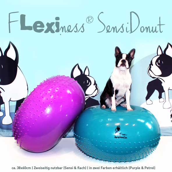 Flexiness® SensiDonut 38x60cm
