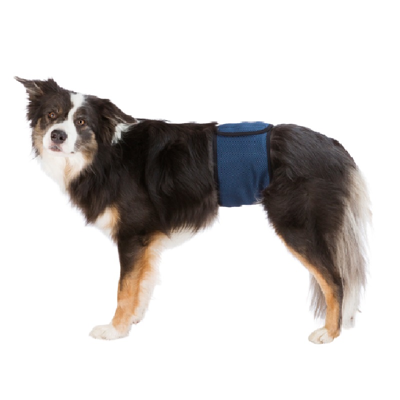Hanhundsskydd, mörkblå 29-75 cm