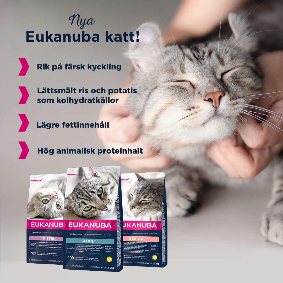 Eukanuba Cat Adult Top Condition 1+ år 10 kg