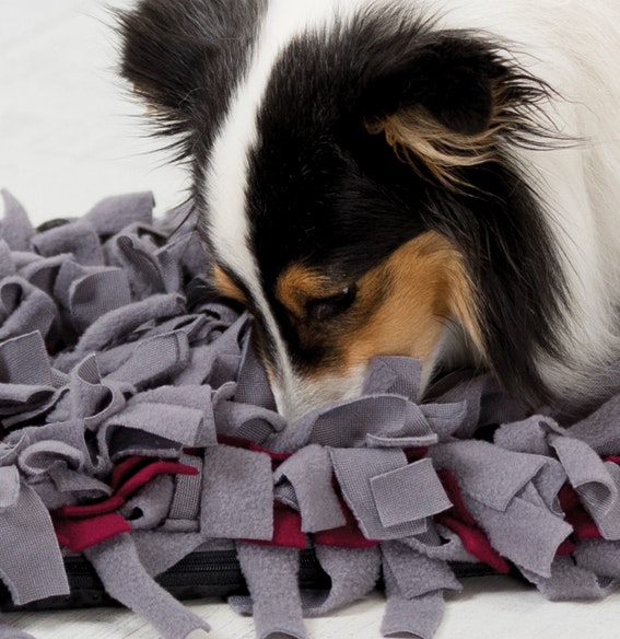 Dog Activity "Sniffing Carpet" Aktivitetsmatta Nivå 1, 50 × 34 cm
