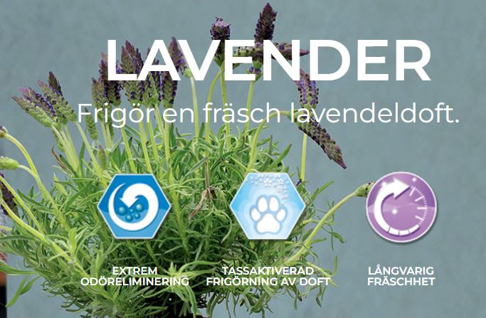 Ever Clean®- Fresh Lavender - kattsand 10 kg