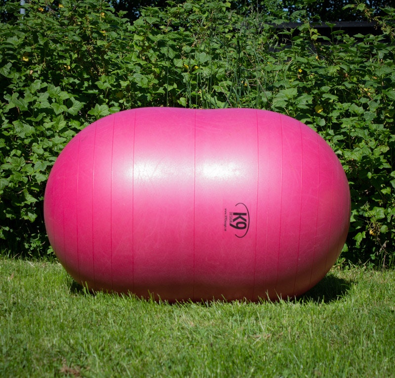 DuoPaw balansboll 70cm Rosa