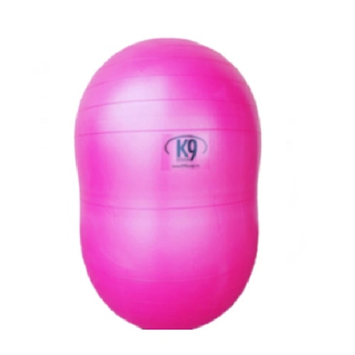 DuoPaw balansboll 70cm Rosa