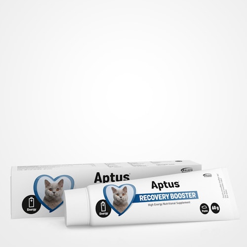 Aptus® Recovery Booster till katt- vid nedsatt aptit eller under rekonvalescens 60 gram pasta