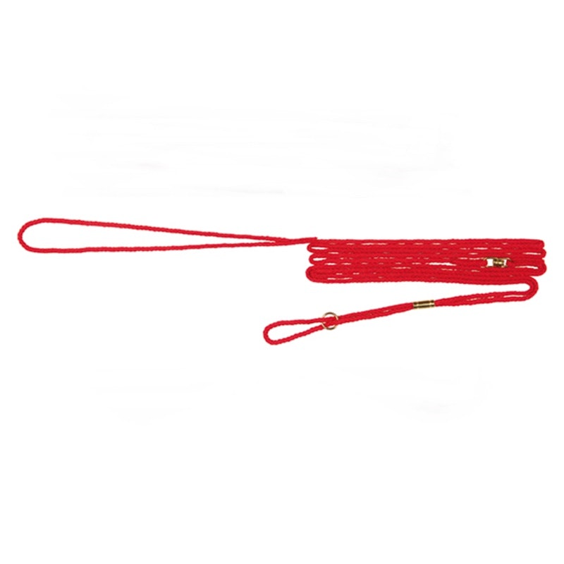 Utställningskoppel nylon 3 mm/125 cm