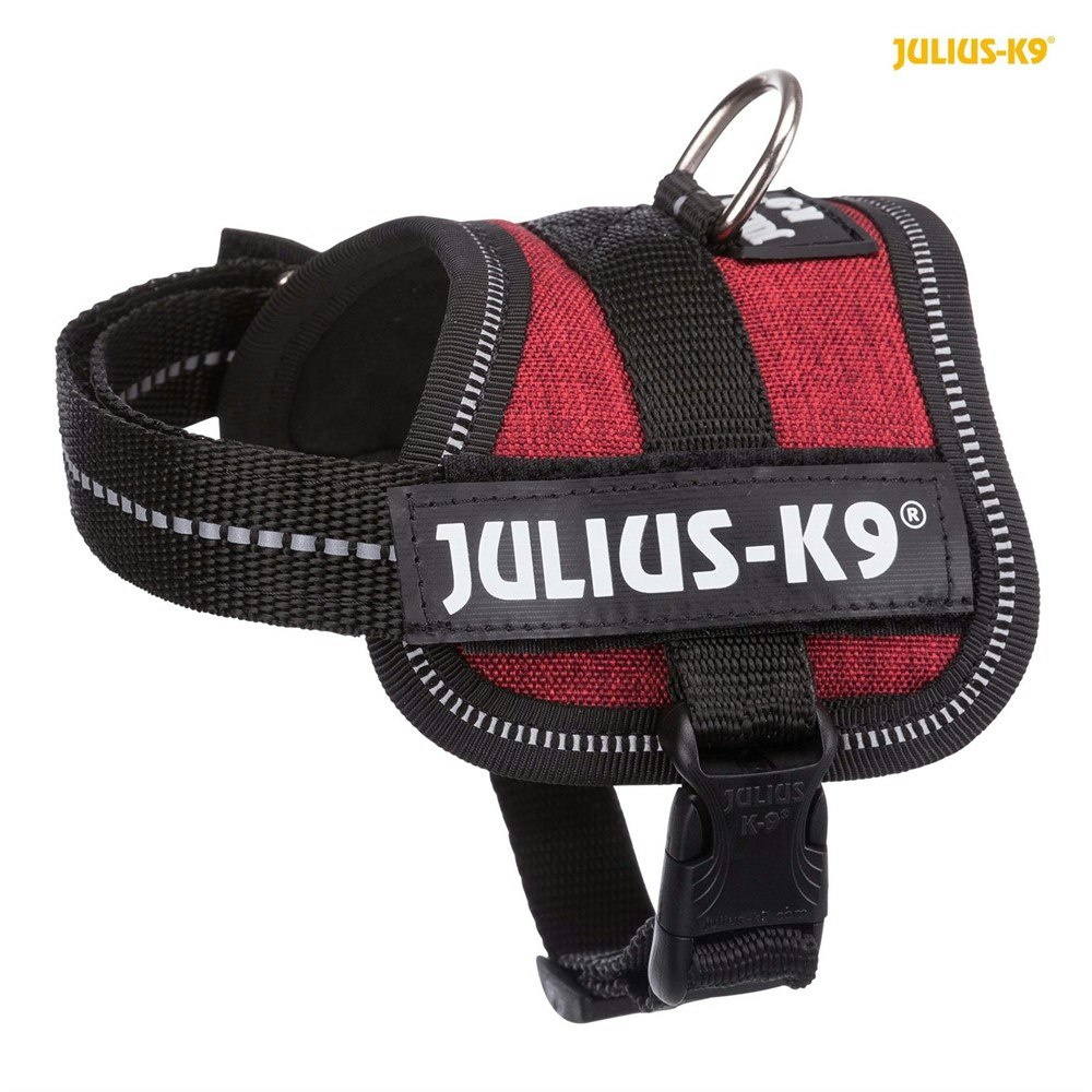 Julius-K9® Powersele, Baby 1/XS: 30-40 cm/18 mm