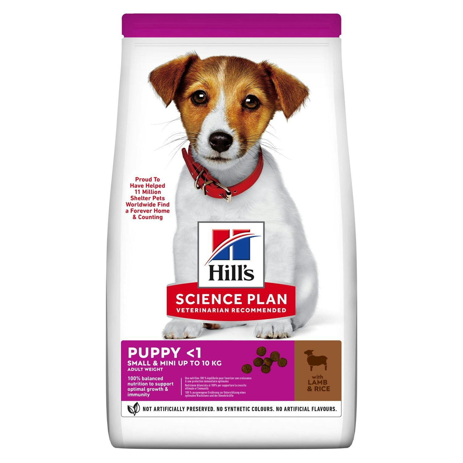 HILL'S SCIENCE PLAN Small & Mini Valpfoder med lamm och ris (6 kg)