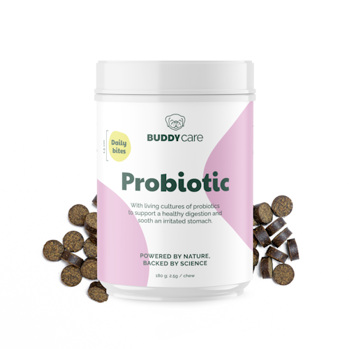 Buddycare Probiotic- matsmältning/immunförsvar - 72 tuggbitar