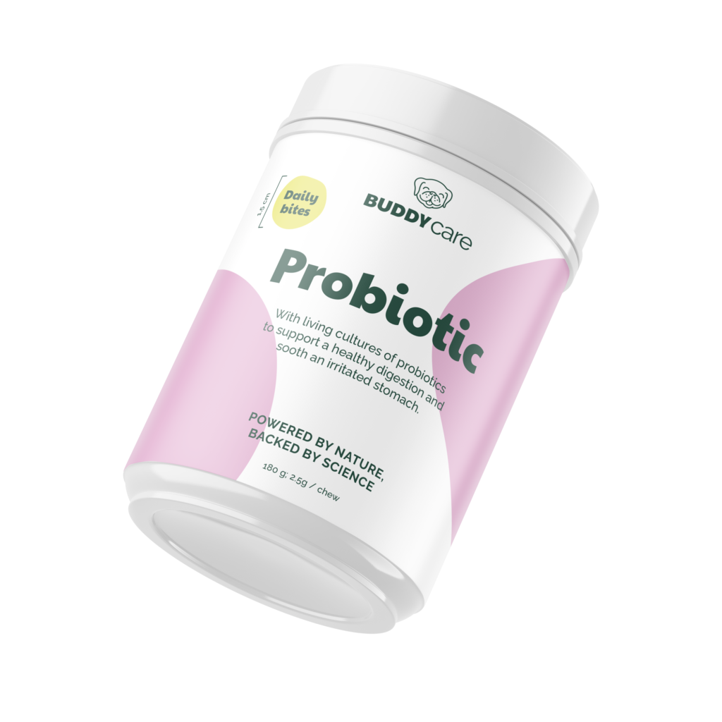 Buddy Probiotic- matsmältning/immunförsvar - 72 tuggbitar