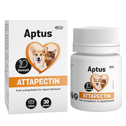 Aptus® Attapectin Tabletter- tillfälliga störningar i mag- och tarmkanal 30 tabl.