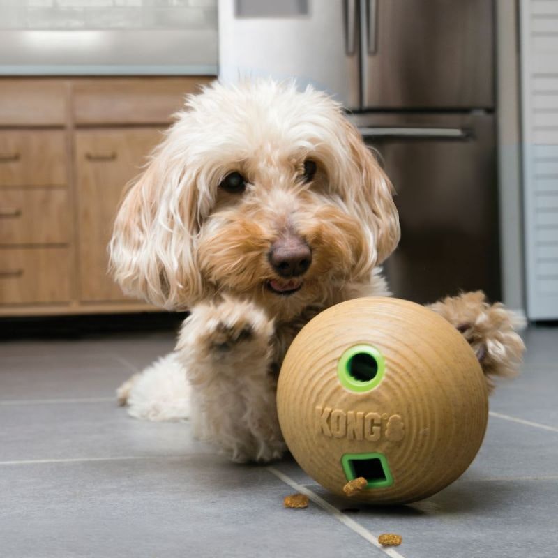 KONG Bamboo Feeder Ball - 12cm