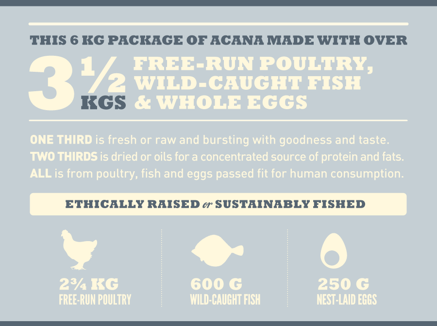 Acana Dog Adult Small Breed - kyckling, fisk, kalkon, ägg - spannmålsfritt 6 kg