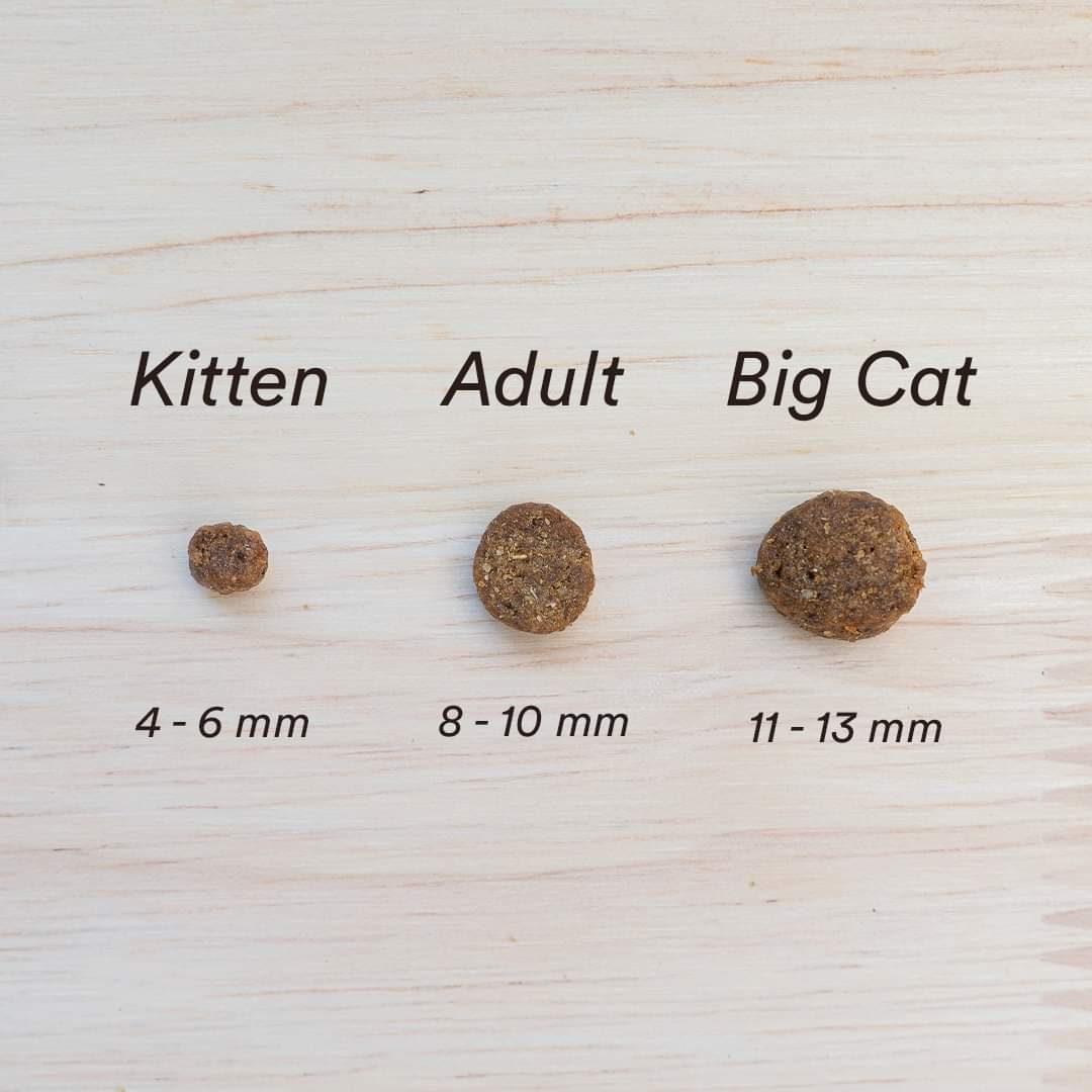 Monster Cat Grain Free Adult - kyckling/kalkon- 2 kg/14 kg