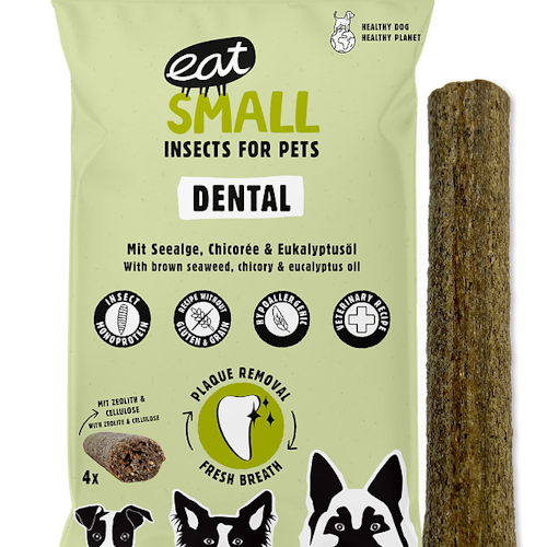 Eat small Dental: Insektstuggben 120 gr/4 styck