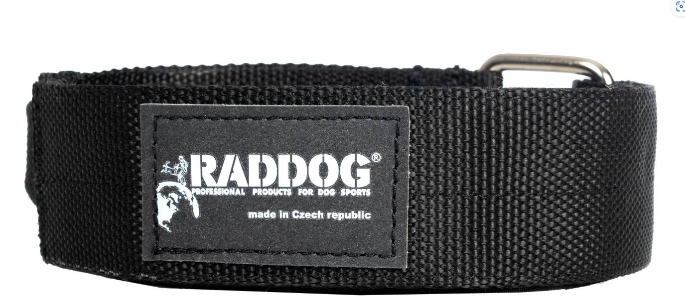 Halsband "Raddog" med handtag
