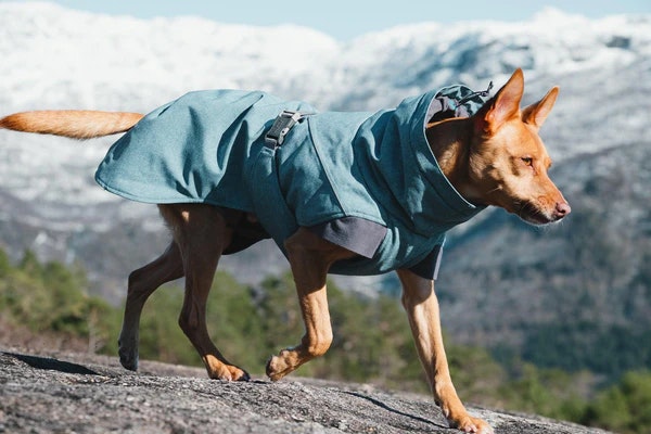 Hurtta Expedition Parka Hundjacka Färg: blåbär Stl. 20- 60 cm