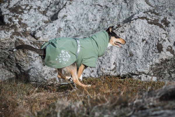 Hurtta Extreme Warmer ECO Hundjacka Färg: hedge Stl. 30 - 65 cm