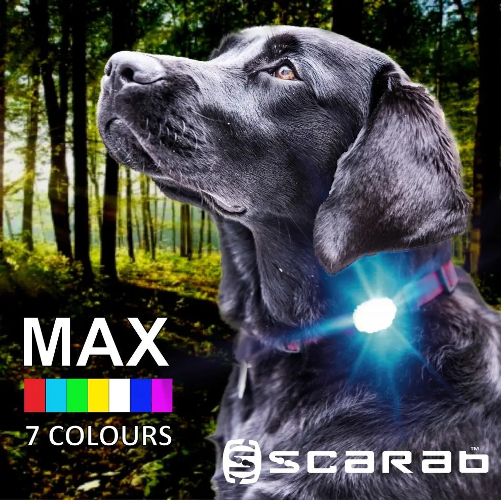 Scarab Max- flerfärgad ledlampa