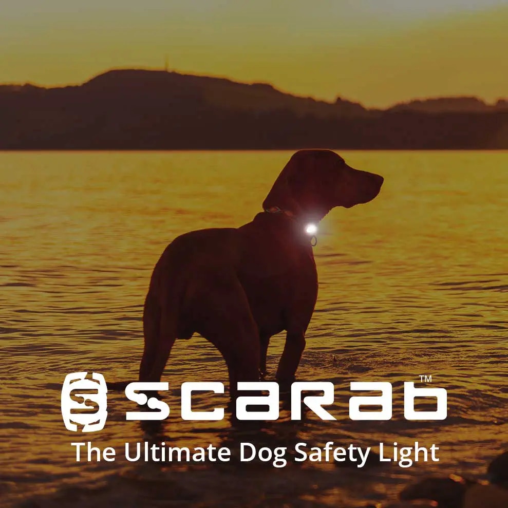 Scarab Max- flerfärgad ledlampa