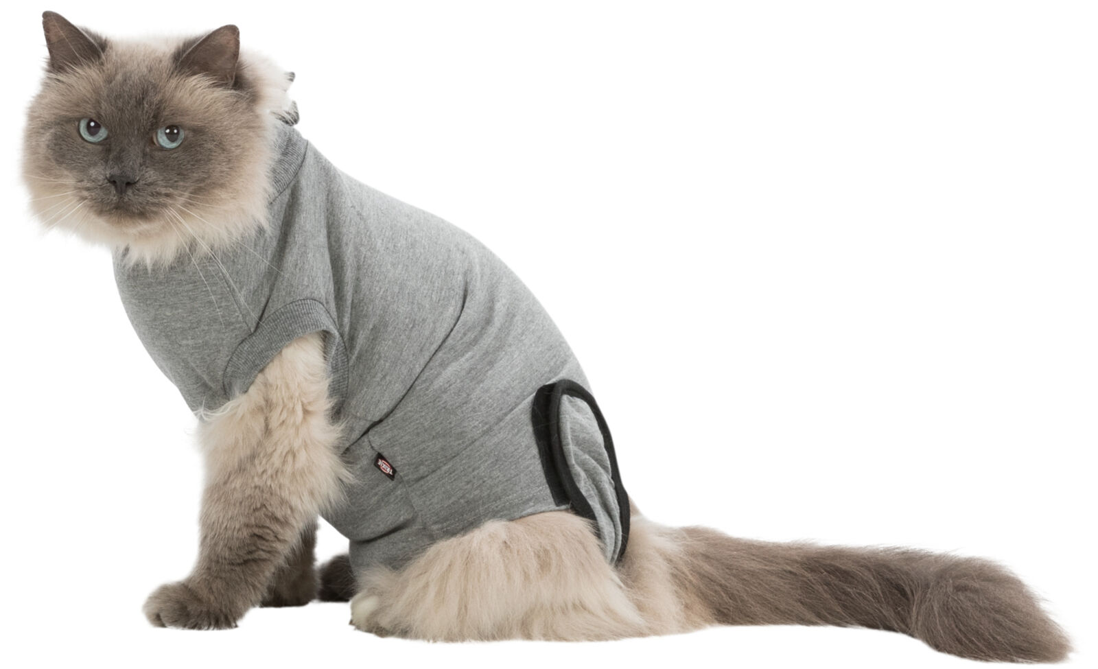 Skyddande body för katt, grå