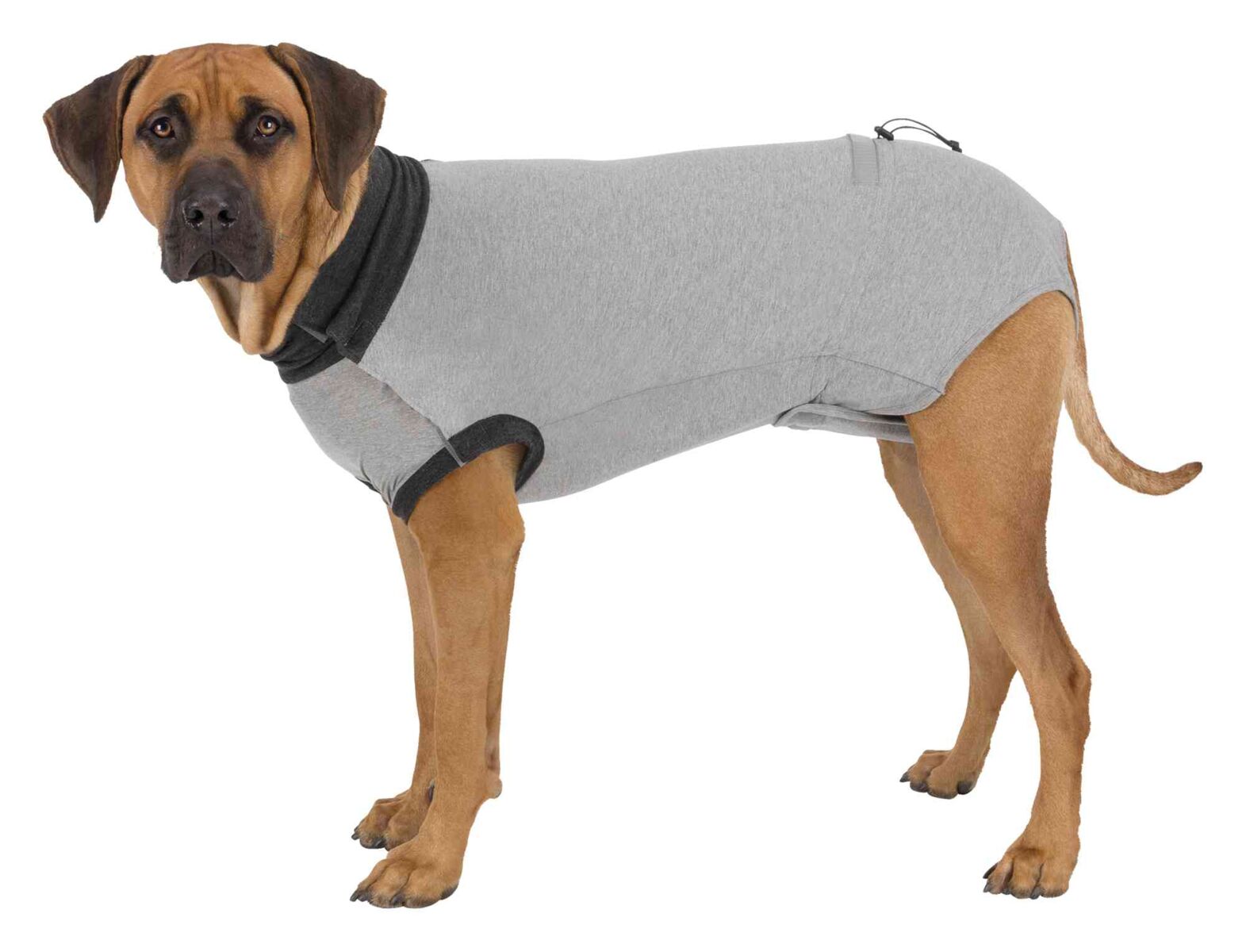 Skyddande body för hund, grå. XS-XL