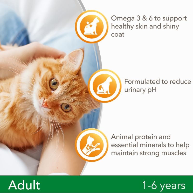 IAMS Cat Adult for Vitality Adult +1. Lamm 10 kg