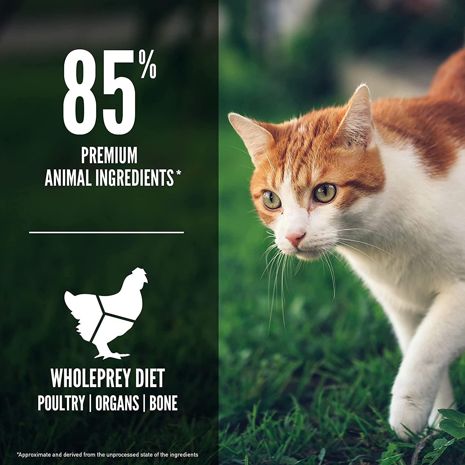 ORIJEN Cat Fit & Trim. Kyckling/Kalkon Spannmålsfritt