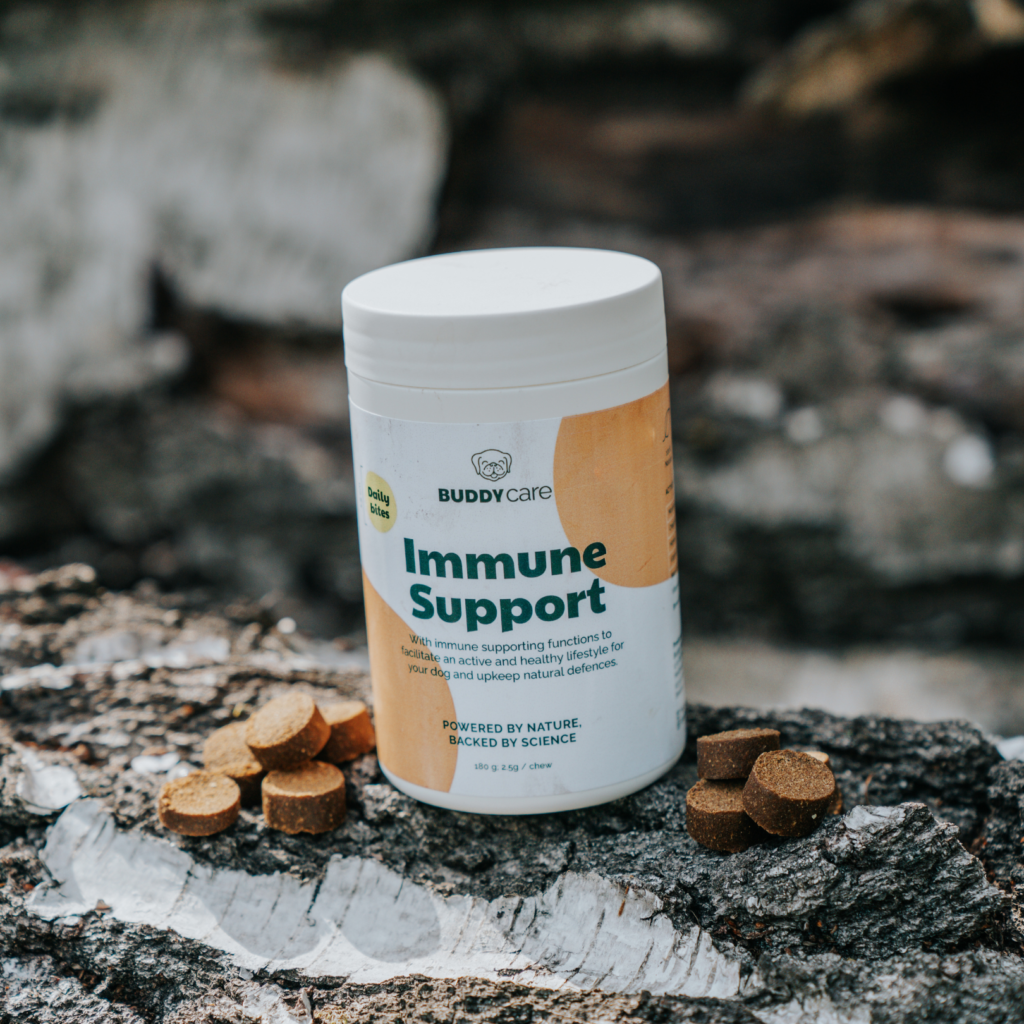Buddy Immune Support Chews - vitaminer, mineraler och antioxidanter - 72 bitar