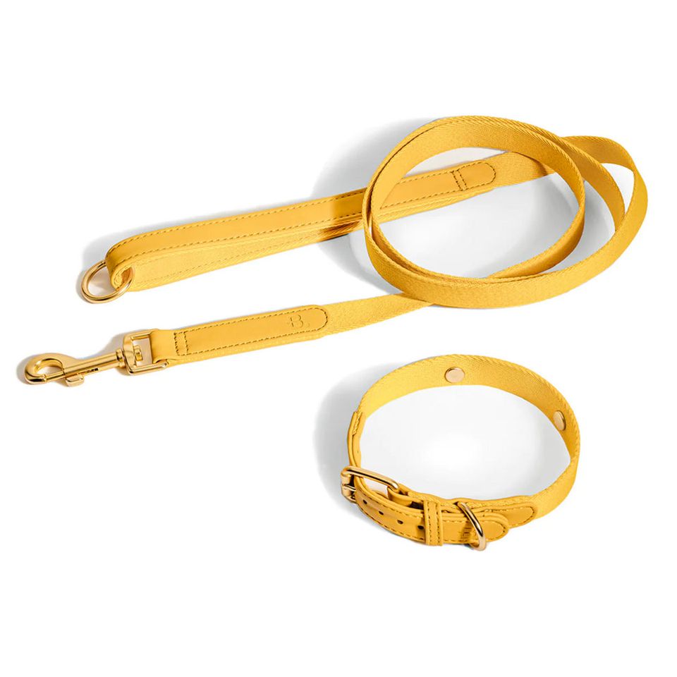 Barkalot halsband, Återvunna plastflaskor Veganskt läder.Golden Yellow XS-XL