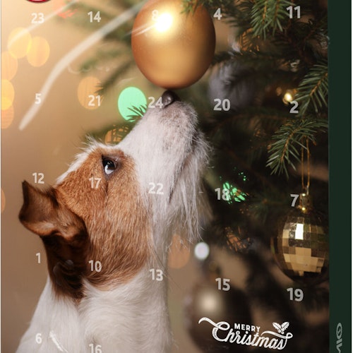 PREMIO Adventskalender för hundar