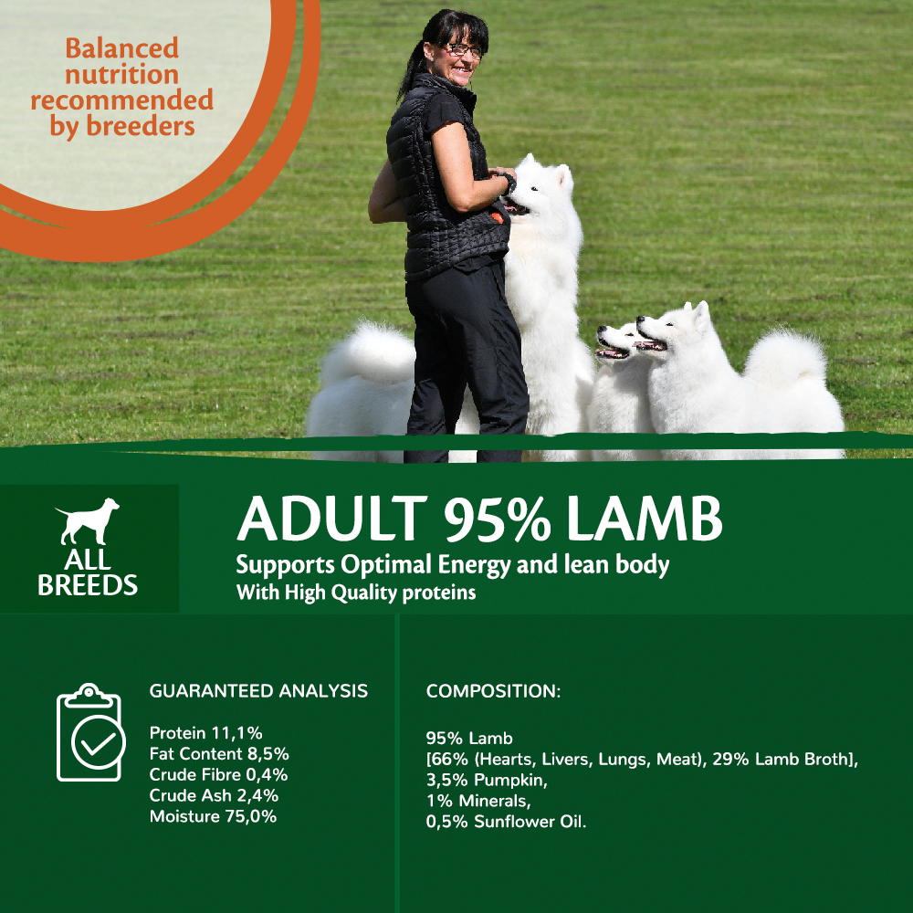 Wellness CORE 95% Single Protein, Lamb with Pumpkin  400 gram