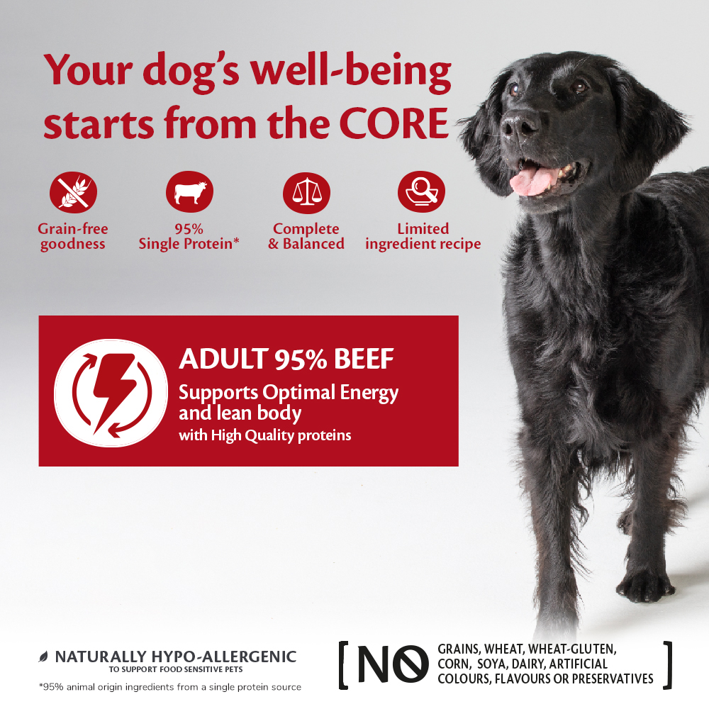 Wellness CORE Dog Adult 95% Single Protein All Breed Beef & Broccoli  400 gram