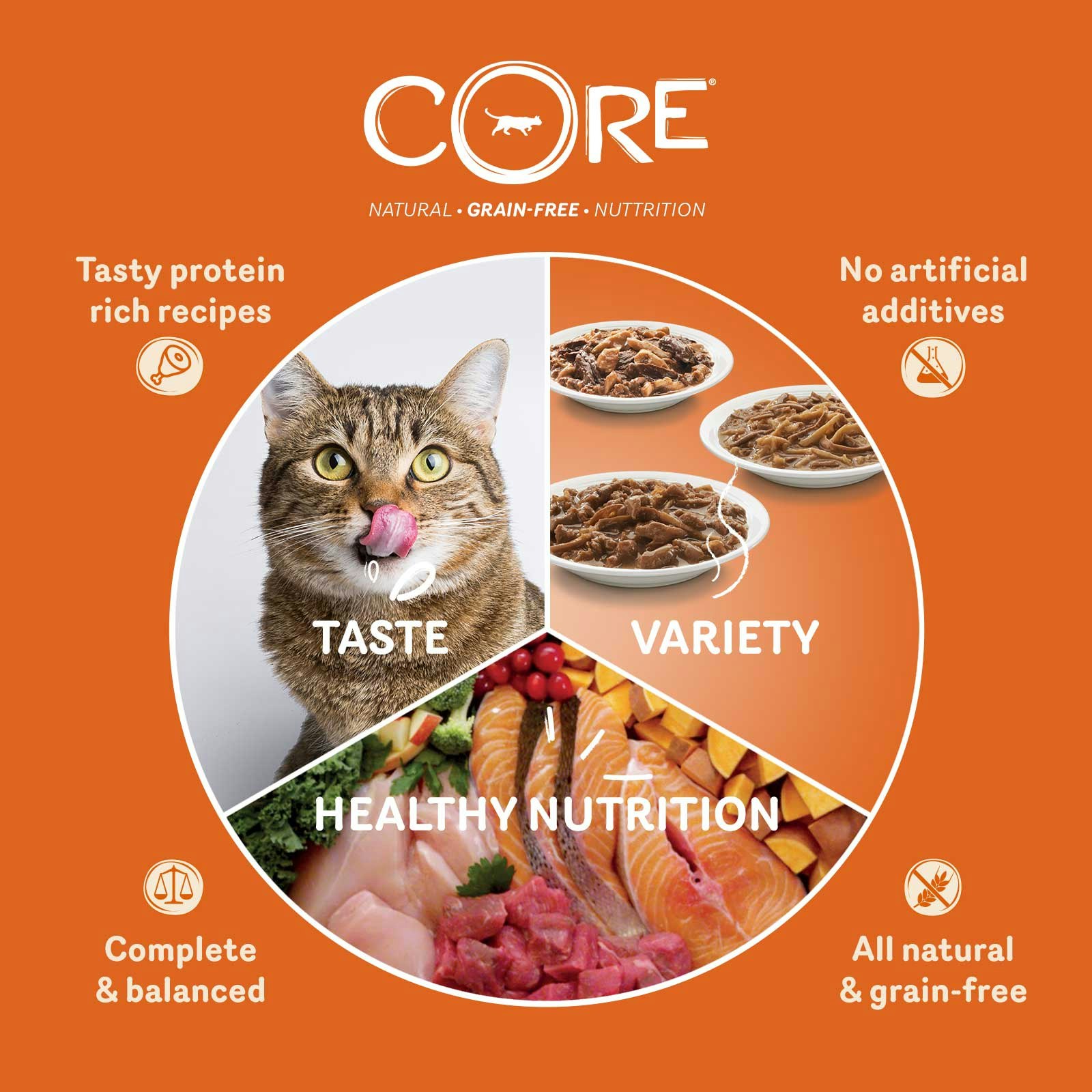 Wellness CORE Tender Cuts with Turkey & Duck in Savoury Gravy - 85g