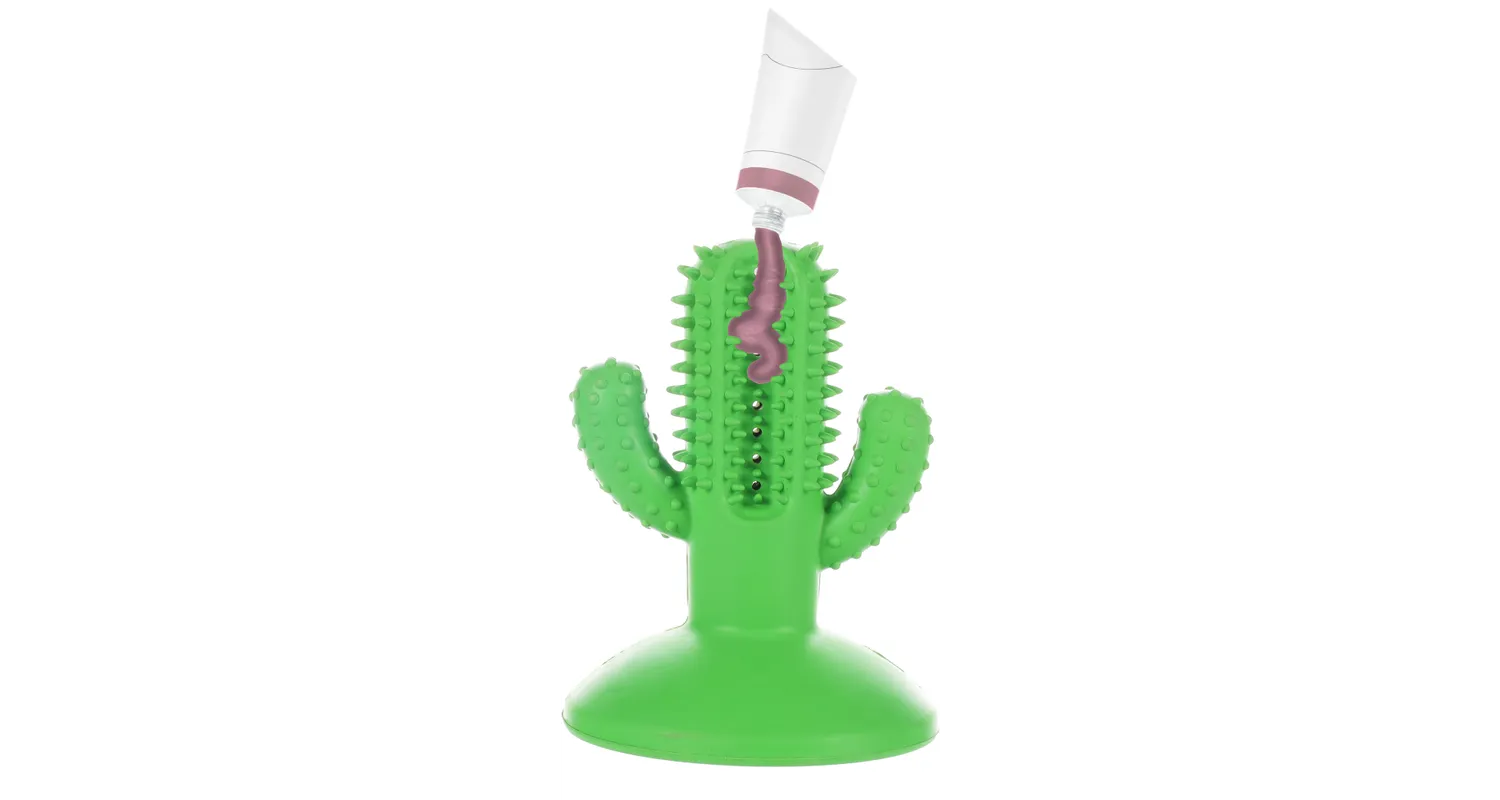 Kaktus i gummi. Aktivering/tandhälsa.