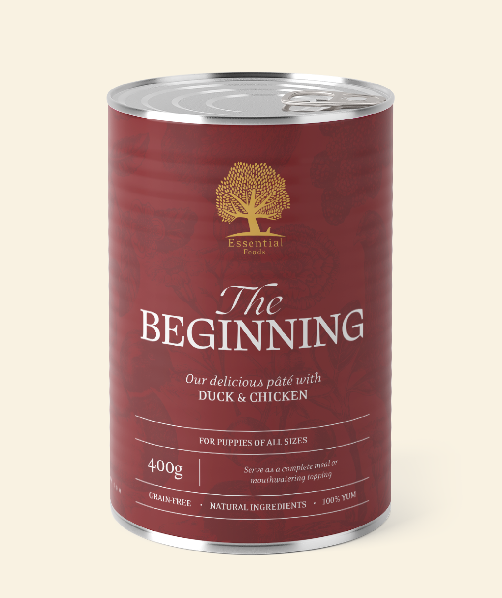 ESSENTIAL the BEGINNING PÂTÉ, STYCKVIS ELLER  6 x 400G