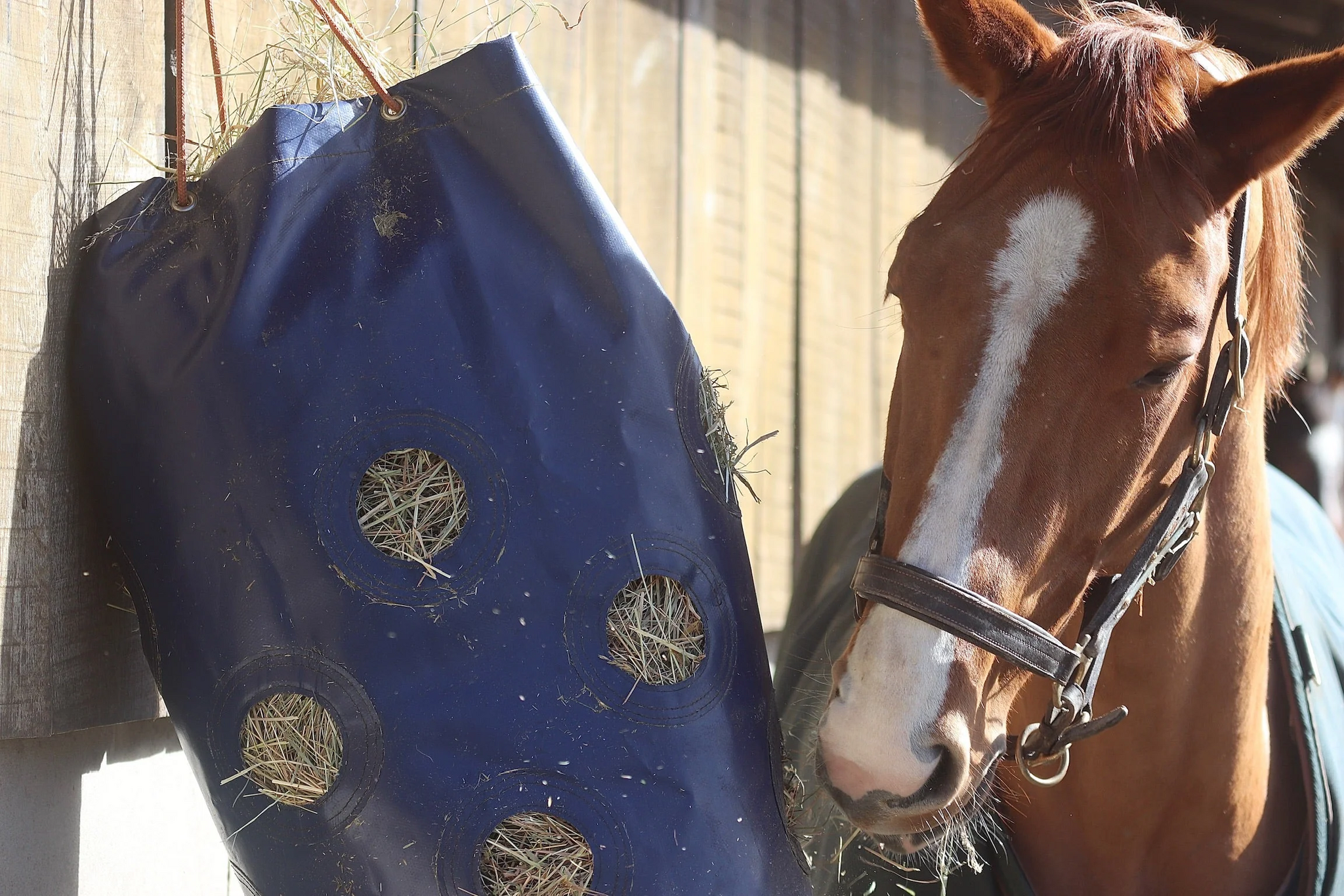 GG Equine HayPlay Slow-feed Bags