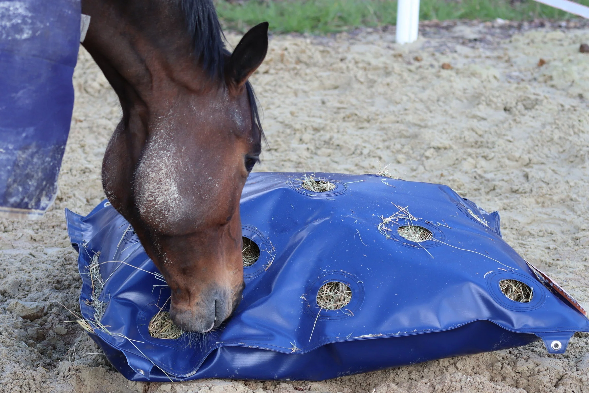 GG Equine HayPlay Slow-feed Bags