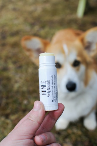 HUMLE Nosig nosstift 14 ml - Nossalva för torr och sårig nos hos hund