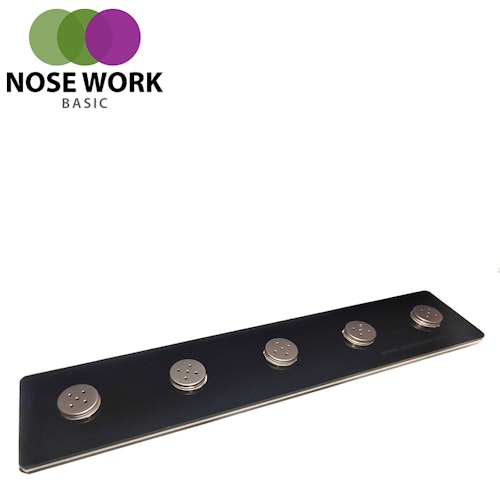 Nose Work Urvalsbana / Sökplattform BASIC