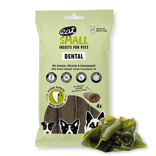 Eat small Dental: Insektstuggben 120 gr/4 styck